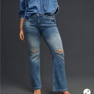 Anthropologie Pilcro The Icon Flare Jeans